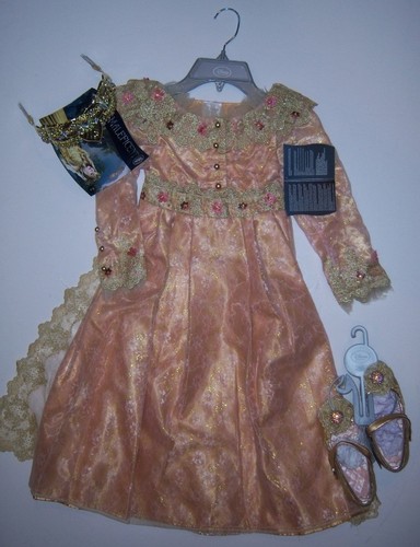 Costume aurora deluxe disney - costume,